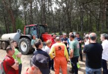 Barbón apela a la colaboración ciudadana para detener “a los terroristas del mechero” ante este “atentado contra Asturias”