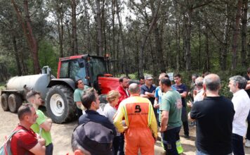Barbón apela a la colaboración ciudadana para detener “a los terroristas del mechero” ante este “atentado contra Asturias”