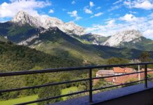 El Principado condena rotundamente el delito medioambiental perpetrado en Ponga contra dos lobos