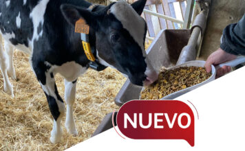 Novalac Prima Fiber, el nuevo starter texturizado de Nanta para terneras lactantes