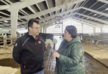 Entrevista a Alberto Sánchez de Lely en Ganadería Foxo de Mendones ( El Franco)