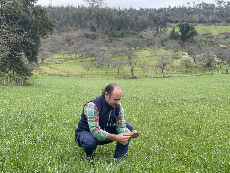 Bisannia Pradera Pastoreo: fertilizante y caliza en una sola aplicación