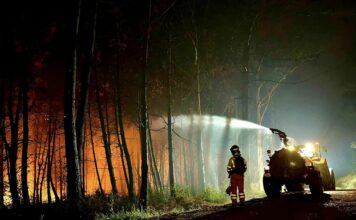 Prisión provisional sin fianza para el presunto autor de un incendio forestal en Allande