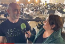 Entrevista a Sergio Pérez Pérez de Ganadería Baxo S.C. de Acevedo (Tapia de Casariego)