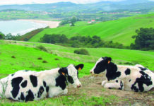 Cambio de la escala del ICO