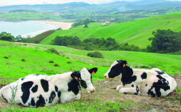 Cambio de la escala del ICO