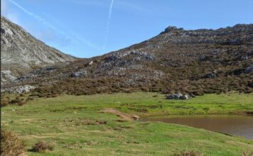 El Gobierno de Asturias publica la estrategia contra el uso ilegal de veneno