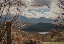 El Principado destina casi un millón a apoyar a los 19 concejos en los que se ubican las reservas regionales de caza