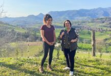 Entrevista a la abogada Montse Morán sobre venta de fincas rústicas