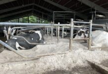 Asturias eleva de 16,7 a 19,9 millones el presupuesto para las ayudas a la mejora de explotaciones agrarias