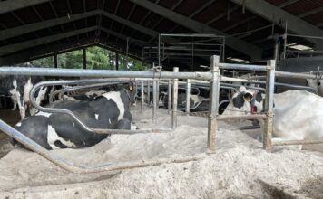 Asturias eleva de 16,7 a 19,9 millones el presupuesto para las ayudas a la mejora de explotaciones agrarias