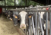 Asturias contará con ayudas directas para apoyar a ganaderos y agricultores frente a la sequía