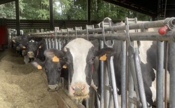 Asturias contará con ayudas directas para apoyar a ganaderos y agricultores frente a la sequía