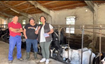 Entrevista a Kiko Fernández y Ondina Fernández de Casa Agosto en Trabazo (Tineo)