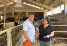 Entrevista a Manuel López Osendi de Ganadería Casa Cachorro de Pelontre (Tineo)