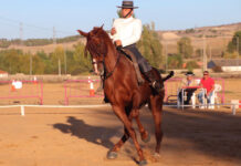 Fin de semana ecuestre en Tineo