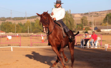 Fin de semana ecuestre en Tineo