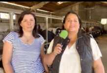 Entrevista a Alicia Ardura Alba de Ganadería Casa Moño de Fresnedo (Tineo)