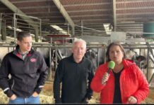 Entrevista a Juan Carlos Castaño de Ganadería Castaño de Arriondas (Parres)