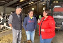 Entrevista a José Miguel Pérez y Cristina Bárcena, ganadería El Esplón (Parres)