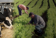 UPA traslada a los partidos políticos sus propuestas para garantizar el futuro de la agricultura y ganadería familiar