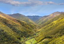 COAG: “La ley de restauración de la naturaleza dejaría en manos de grandes corporaciones y fondos de inversión el campo español y europeo”