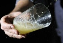 La Unesco acuerda evaluar la candidatura de la cultura sidrera asturiana para ser Patrimonio Mundial Inmaterial