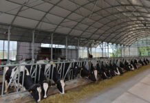 Asturias dedica 19,6 millones a ayudas para incrementar la rentabilidad de 296 explotaciones agrícolas y ganaderas