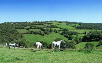 ASAJA dirige sus reivindicaciones en materia agraria a los partidos políticos que concurren a las elecciones