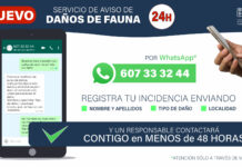 El Principado pone en marcha un nuevo servicio de atención las 24 horas para notificar daños producidos por fauna silvestre