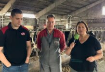 Entrevista a Joaquín García González de Casa Pachín S.C., de Ordovaga (Valdés)