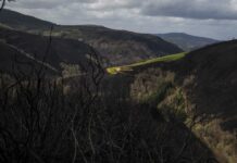 Se inician los trabajos de recuperación de zonas afectadas por los incendios de abril