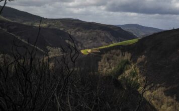 Se inician los trabajos de recuperación de zonas afectadas por los incendios de abril