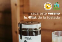 iSaca este verano la miel de la tostada!