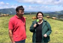 Entrevista a Antonio Nieto, ganadero de vacuno y equino en el Camín Real de la Mesa