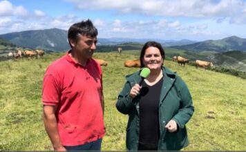 Entrevista a Antonio Nieto, ganadero de vacuno y equino en el Camín Real de la Mesa