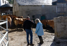 UPA pide más protección a los ganaderos con los saneamientos en las políticas de sanidad animal