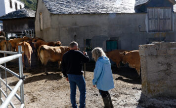 UPA pide más protección a los ganaderos con los saneamientos en las políticas de sanidad animal
