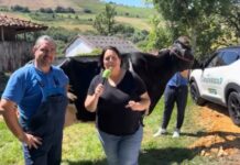 Entrevista a Fernando Fernández de SAT Ganadería Perrito de Vallamonte (Tineo)