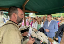 Medio Rural incrementa las ayudas a la promoción del queso Cabrales un 50% en 2023