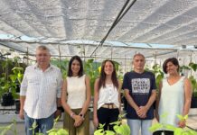 El Serida participa en un proyecto financiado por la UE para impulsar la mejora genética de las legumbres en Europa