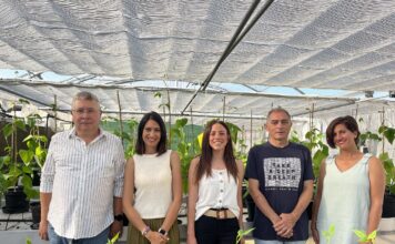 El Serida participa en un proyecto financiado por la UE para impulsar la mejora genética de las legumbres en Europa