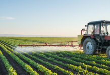 El importe total de las ayudas directas de la PAC para la campaña 2023 asciende a 4.875 millones de euros