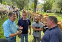 Medio Rural refuerza la desinsectación en el Mercado Nacional de Ganado de Siero