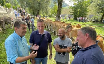 Medio Rural refuerza la desinsectación en el Mercado Nacional de Ganado de Siero