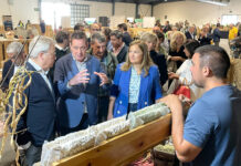 Medio Rural renueva su agroficina virtual para facilitar las gestiones al sector ganadero