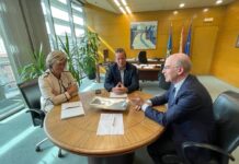 El Colegio de Veterinarios pide la vacuna antirrábica obligatoria para gatos