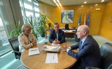 El Colegio de Veterinarios pide la vacuna antirrábica obligatoria para gatos