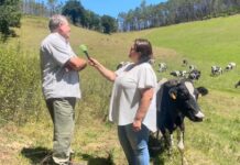 Entrevista a Pedro Fernández Iglesias de Ganadería Pedro de Merás (Valdés)