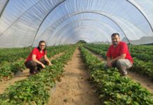 Ángela Campo y Fernando Ruenes de Asturiana de Fresas: “Para dedicarse a esto necesitas formación, constancia, paciencia y mucho trabajo”
